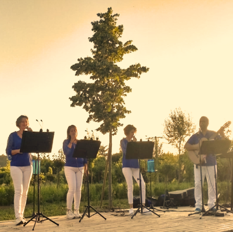 Image de Vocacoustik